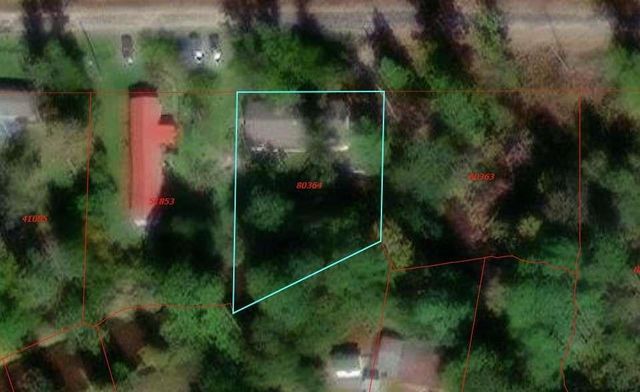 537 Tree Harbor Drive, Onalaska, TX 77360