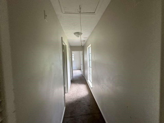 537 Tree Harbor Drive, Onalaska, TX 77360