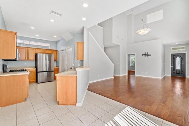 20033 HERITAGE POINT DRIVE, Tampa, FL 33647