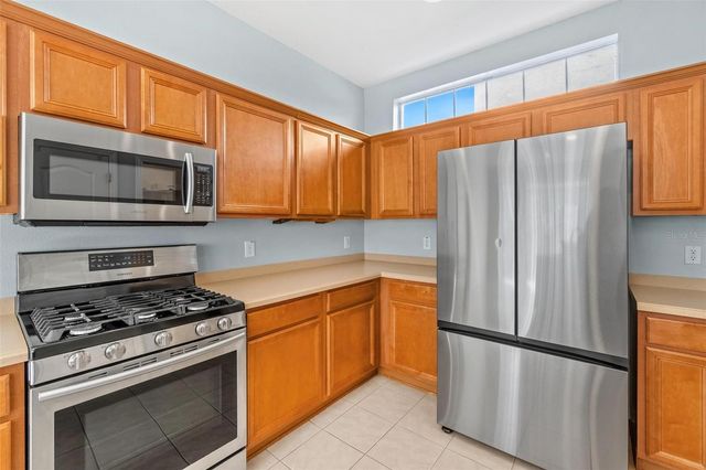 20033 HERITAGE POINT DRIVE, Tampa, FL 33647