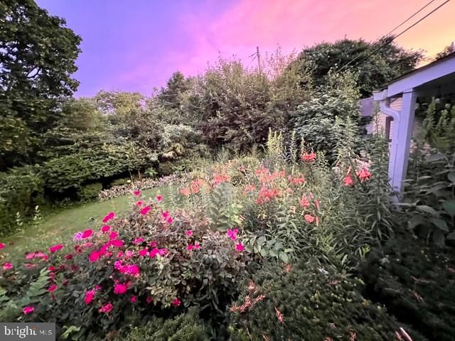 803 JOPPA RD W, Towson, MD 21204
