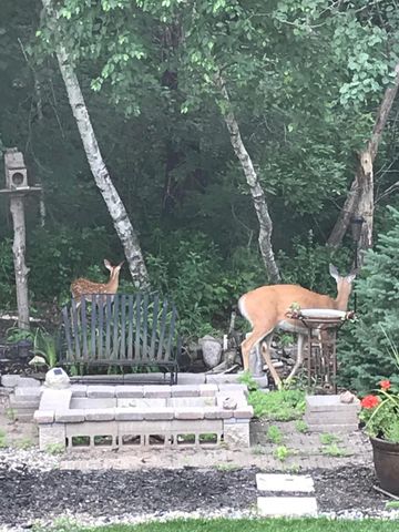 17990 Nixon Drive NW, Elk River, MN 55330