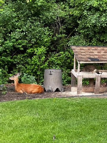 17990 Nixon Drive NW, Elk River, MN 55330