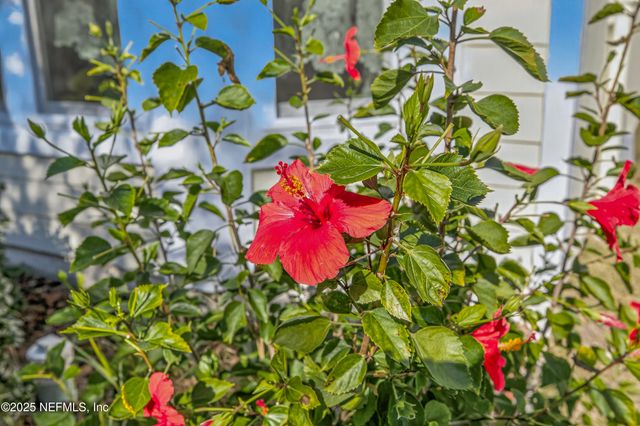 12657 ASHGLEN Drive S, Jacksonville, FL 32224