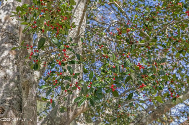 12657 ASHGLEN Drive S, Jacksonville, FL 32224