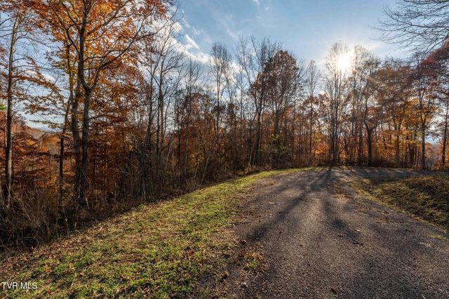 Lot 51 Redbud Circle, Butler, TN 37640