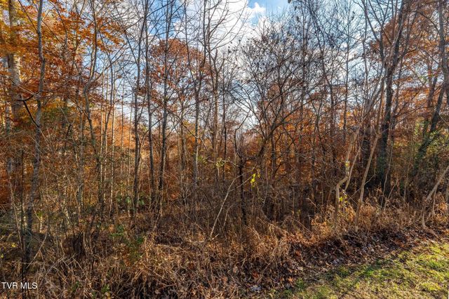 Lot 51 Redbud Circle, Butler, TN 37640