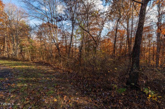 Lot 51 Redbud Circle, Butler, TN 37640