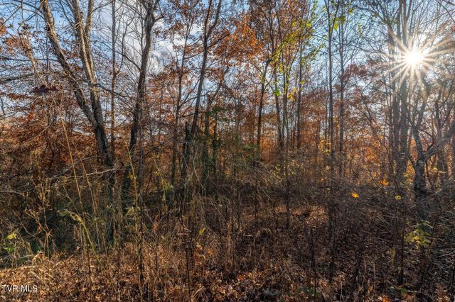 Lot 51 Redbud Circle, Butler, TN 37640