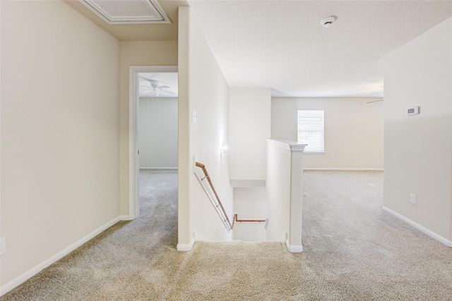 4910 Conifer Ridge Way, Humble, TX 77346