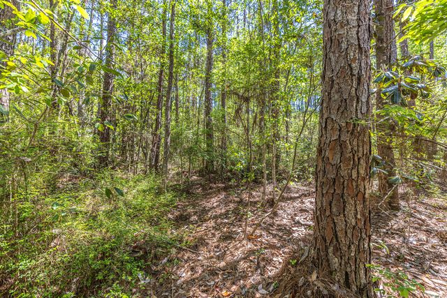 Lot 8 Mallet Road, Freeport, FL 32439