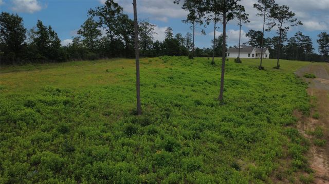 Lot 277 Tranquility Road, Livingston, TX 77351