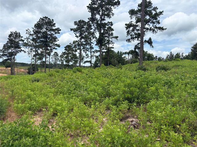 Lot 277 Tranquility Road, Livingston, TX 77351