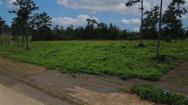 Lot 277 Tranquility Road, Livingston, TX 77351