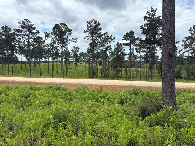 Lot 277 Tranquility Road, Livingston, TX 77351