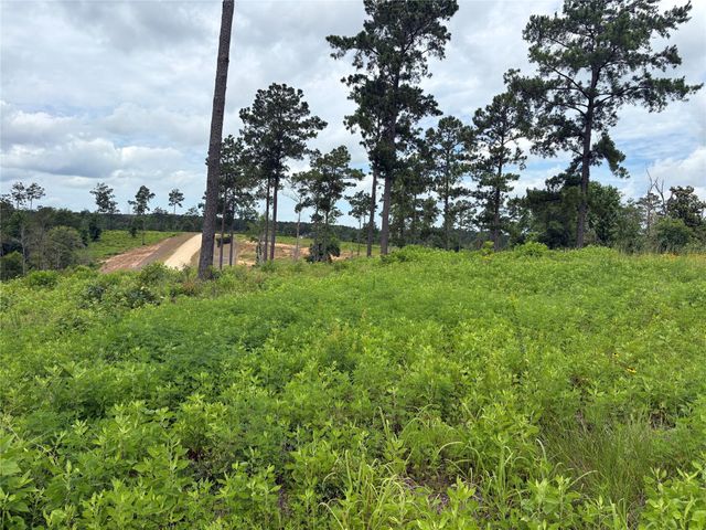 Lot 277 Tranquility Road, Livingston, TX 77351