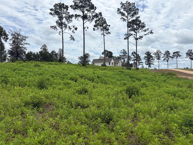 Lot 277 Tranquility Road, Livingston, TX 77351