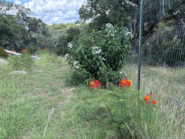 3263 Palomino Springs, Bandera, TX 78003