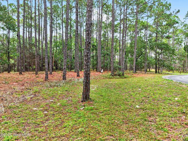 539 Verona Pointe SE, Bolivia, NC 28422