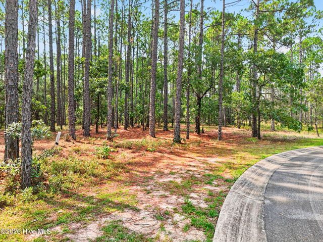 539 Verona Pointe SE, Bolivia, NC 28422