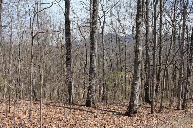 Lot 86A Licklog Ridge, Hayesville, NC 28904