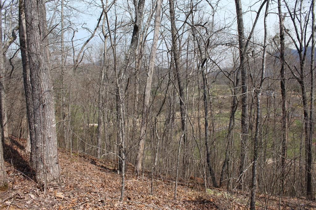 Lot 86A Licklog Ridge, Hayesville, NC 28904