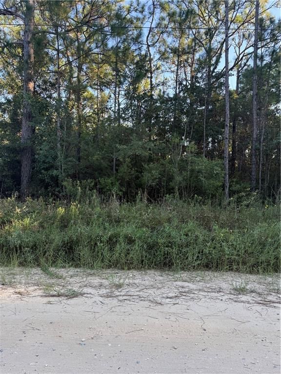 0 Dakota Drive, Coden, AL 36523 — exterior
