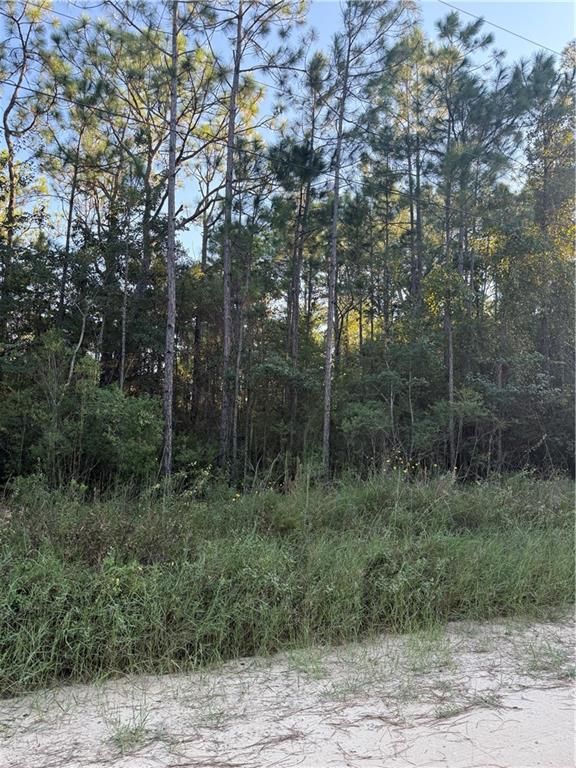0 Dakota Drive, Coden, AL 36523 — photo 2