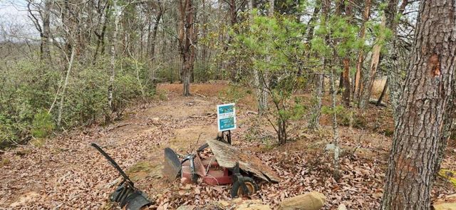 361 Vista Dell Lane, Tallulah Falls, GA 30573