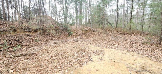 361 Vista Dell Lane, Tallulah Falls, GA 30573