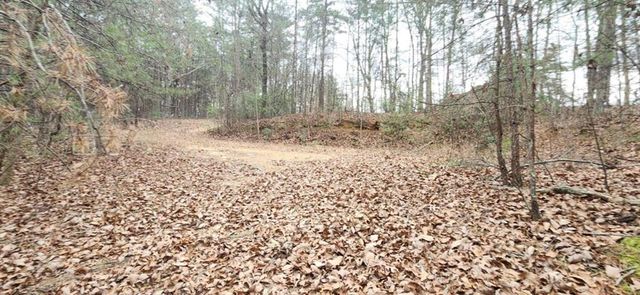 361 Vista Dell Lane, Tallulah Falls, GA 30573