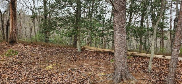 361 Vista Dell Lane, Tallulah Falls, GA 30573