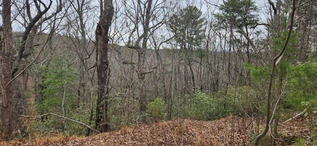 361 Vista Dell Lane, Tallulah Falls, GA 30573