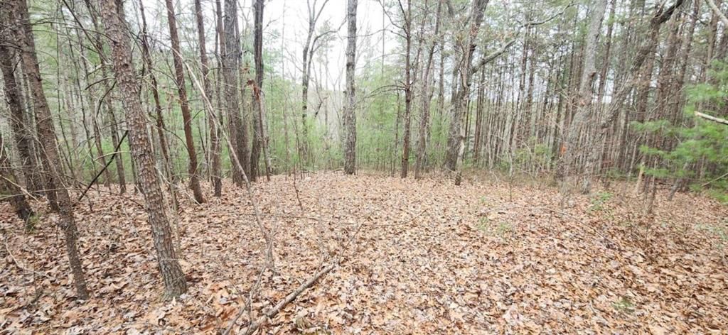 361 Vista Dell Lane, Tallulah Falls, GA 30573