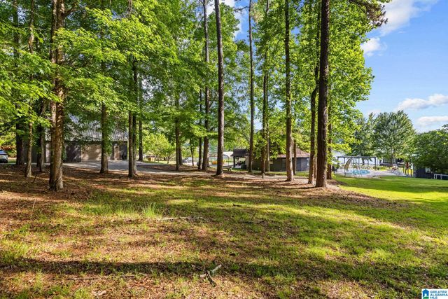 348 COUNTY ROAD 473, Clanton, AL 35046