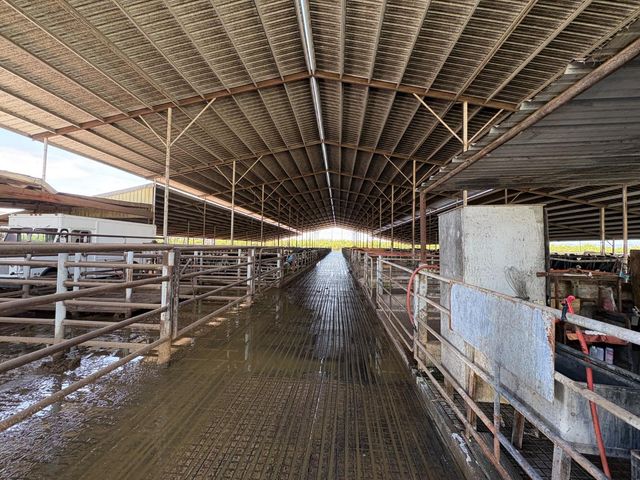 24916 S Manteca Rd, Manteca, CA 95337