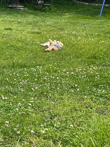 16-18 Phelps Street 16-1, Salem, MA 01970