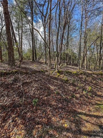 00 TS Jarrard, Dahlonega, GA 30533