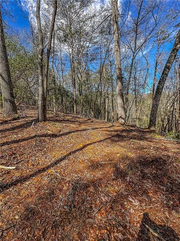 00 TS Jarrard, Dahlonega, GA 30533