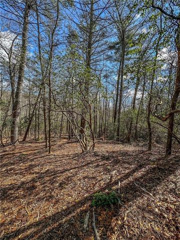00 TS Jarrard, Dahlonega, GA 30533