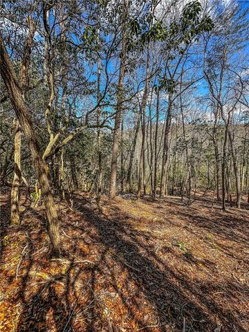 00 TS Jarrard, Dahlonega, GA 30533