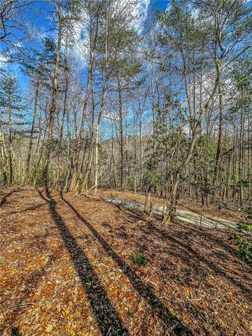 00 TS Jarrard, Dahlonega, GA 30533