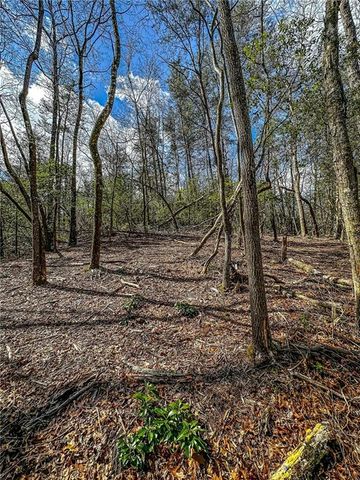 00 TS Jarrard, Dahlonega, GA 30533