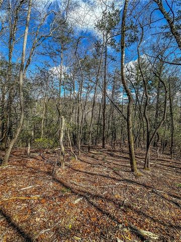 00 TS Jarrard, Dahlonega, GA 30533