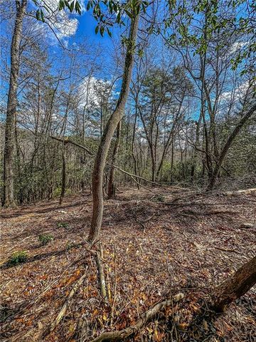 00 TS Jarrard, Dahlonega, GA 30533