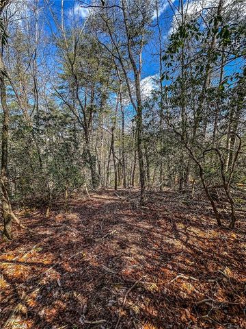 00 TS Jarrard, Dahlonega, GA 30533