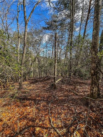 00 TS Jarrard, Dahlonega, GA 30533
