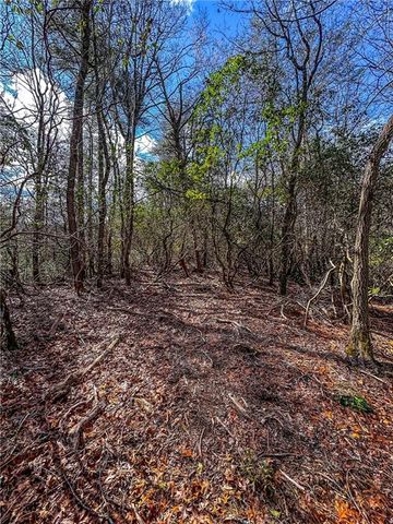 00 TS Jarrard, Dahlonega, GA 30533
