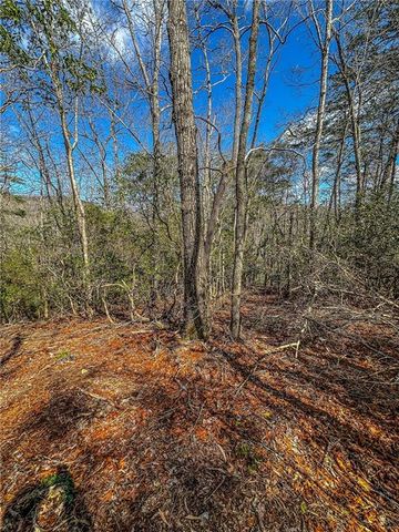 00 TS Jarrard, Dahlonega, GA 30533