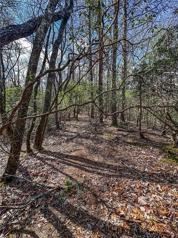 00 TS Jarrard, Dahlonega, GA 30533